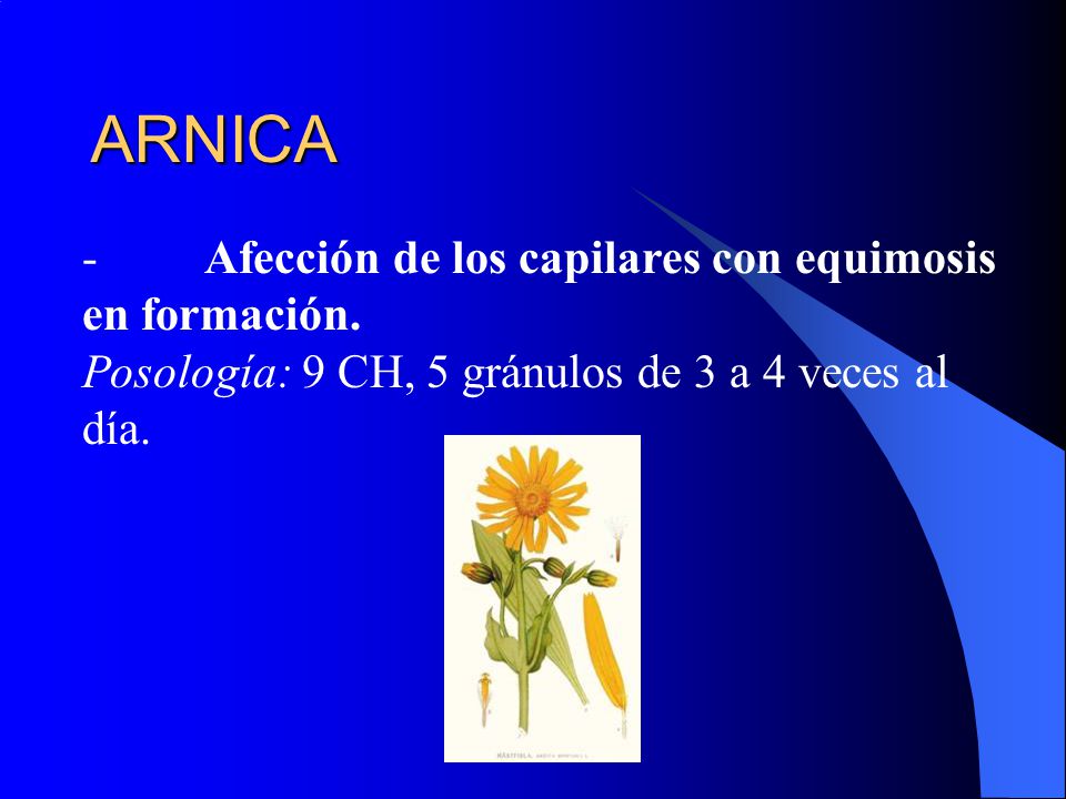 ARNICA - Afección de los capilares con equimosis en formación.