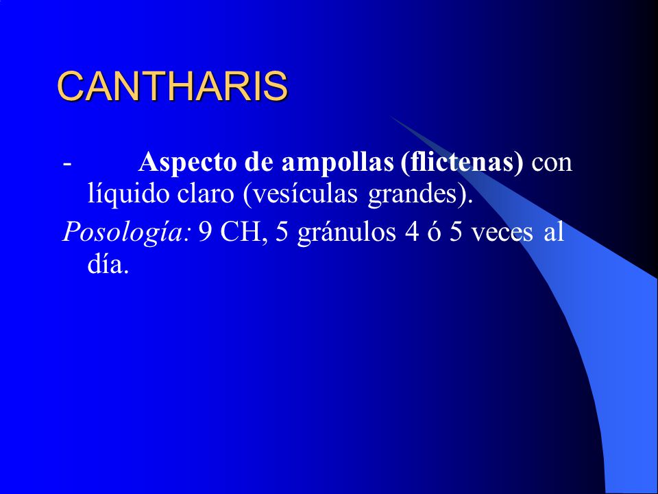 CANTHARIS - Aspecto de ampollas (flictenas) con líquido claro (vesículas grandes).