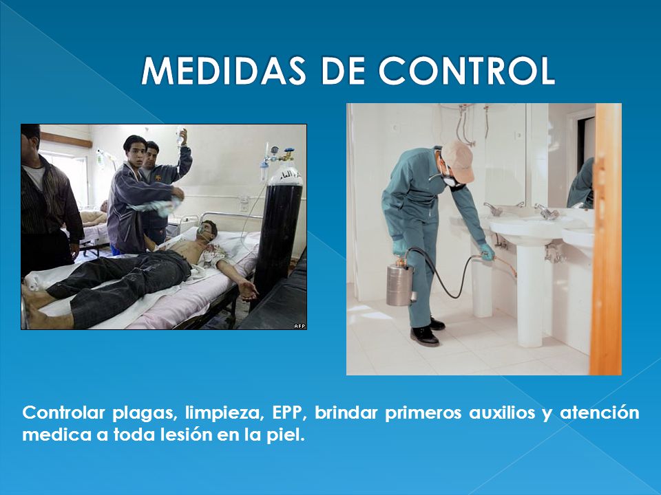 MEDIDAS DE CONTROL Controlar plagas, limpieza, EPP, brindar primeros auxilios y atención medica a toda lesión en la piel.