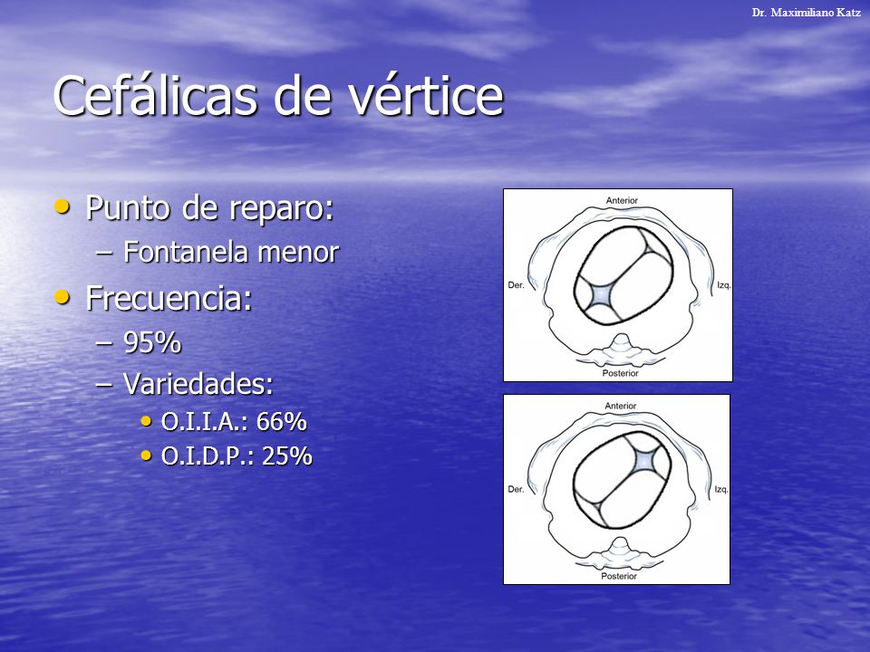 Cefálicas de vértice Punto de reparo: Frecuencia: Fontanela menor 95%