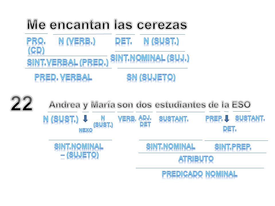 Me encantan las cerezas Andrea y María son dos estudiantes de la ESO