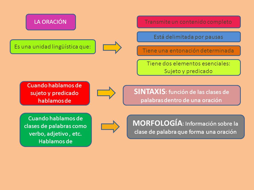 SINTAXIS: función de las clases de palabras dentro de una oración