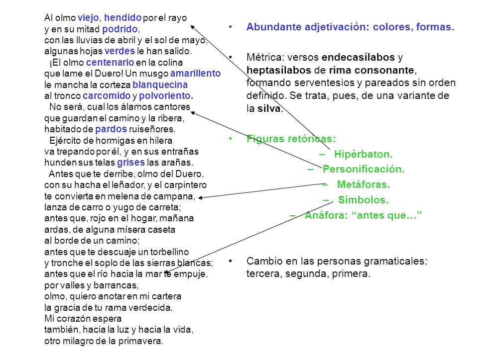 Abundante adjetivación: colores, formas.