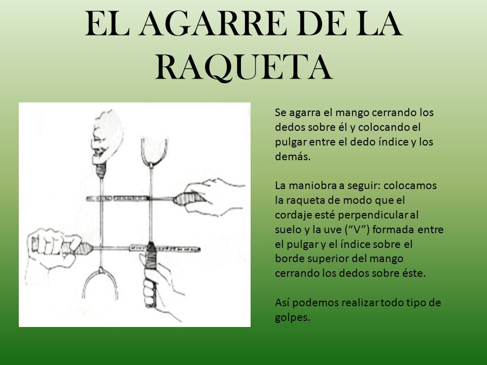 EL AGARRE DE LA RAQUETA Se agarra el mango cerrando los dedos sobre él y colocando el pulgar entre el dedo índice y los demás.