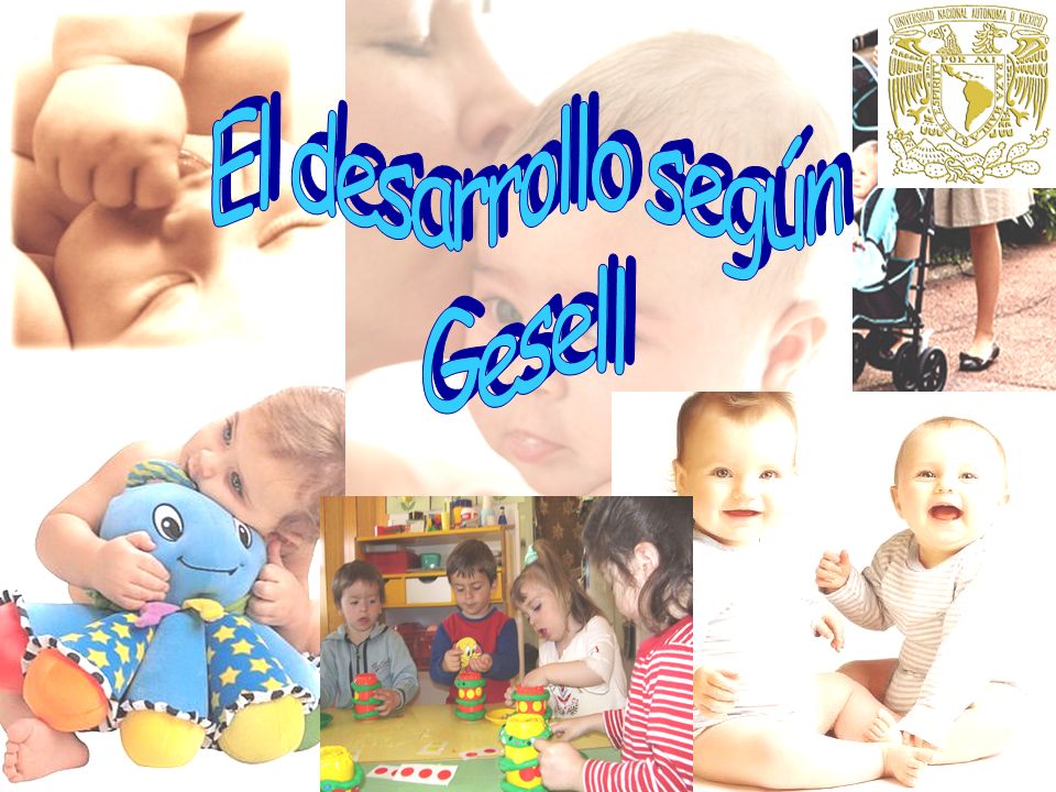 El desarrollo según Gesell