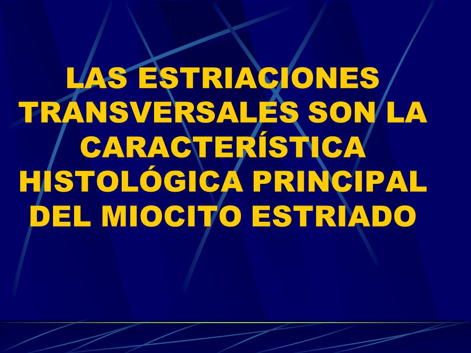 LAS ESTRIACIONES TRANSVERSALES SON LA CARACTERÍSTICA HISTOLÓGICA PRINCIPAL DEL MIOCITO ESTRIADO