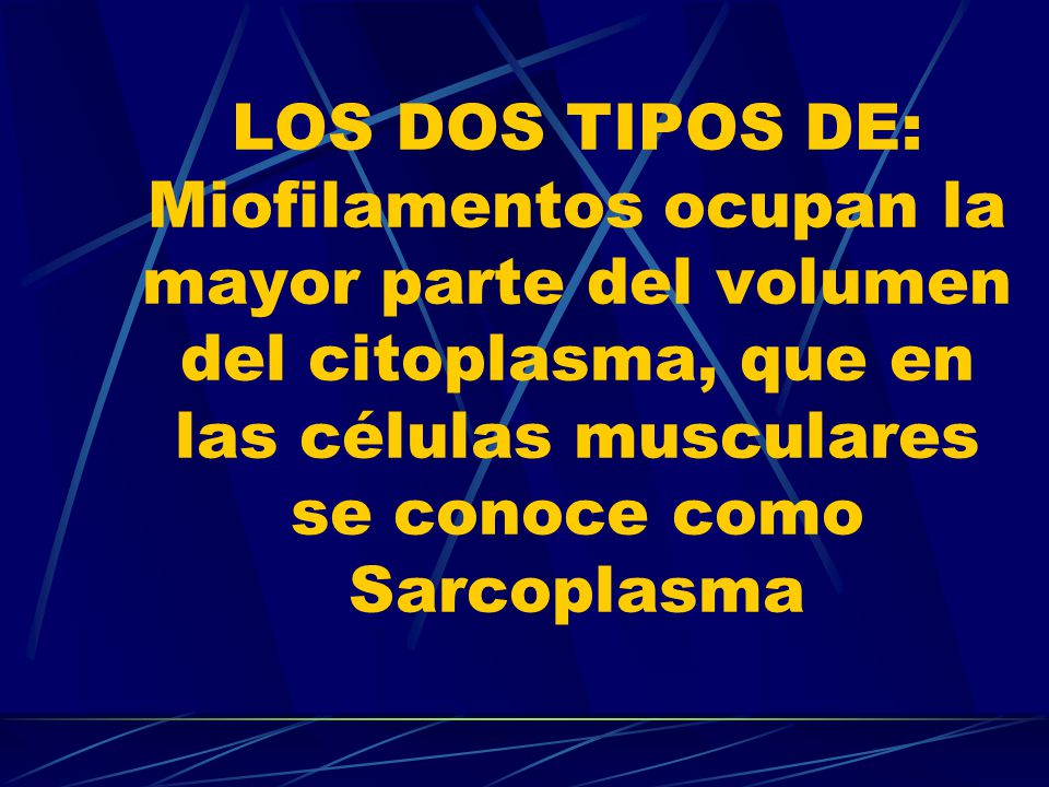 LOS DOS TIPOS DE: Miofilamentos ocupan la mayor parte del volumen del citoplasma, que en las células musculares se conoce como Sarcoplasma