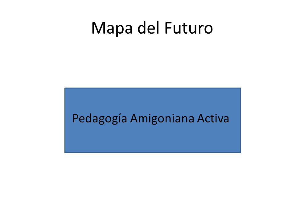 Pedagogía Amigoniana Activa