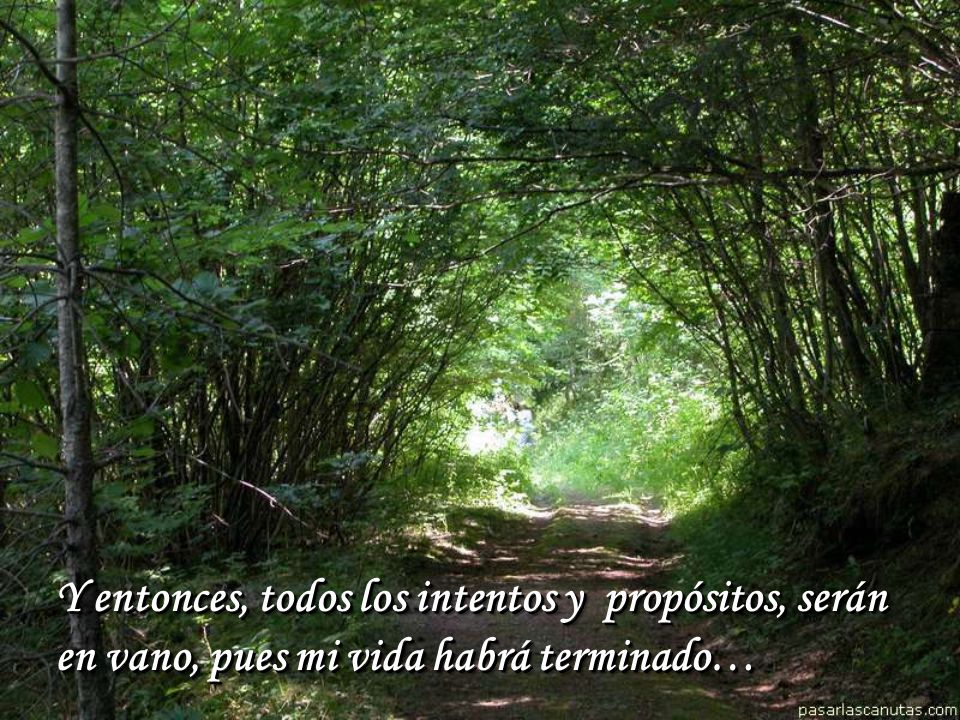 Y entonces, todos los intentos y propósitos, serán en vano, pues mi vida habrá terminado…
