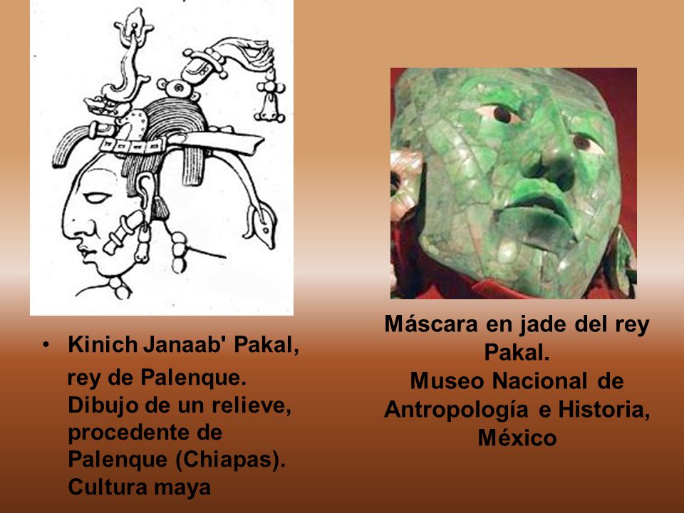 Kinich Janaab Pakal, rey de Palenque. Dibujo de un relieve, procedente de Palenque (Chiapas). Cultura maya.