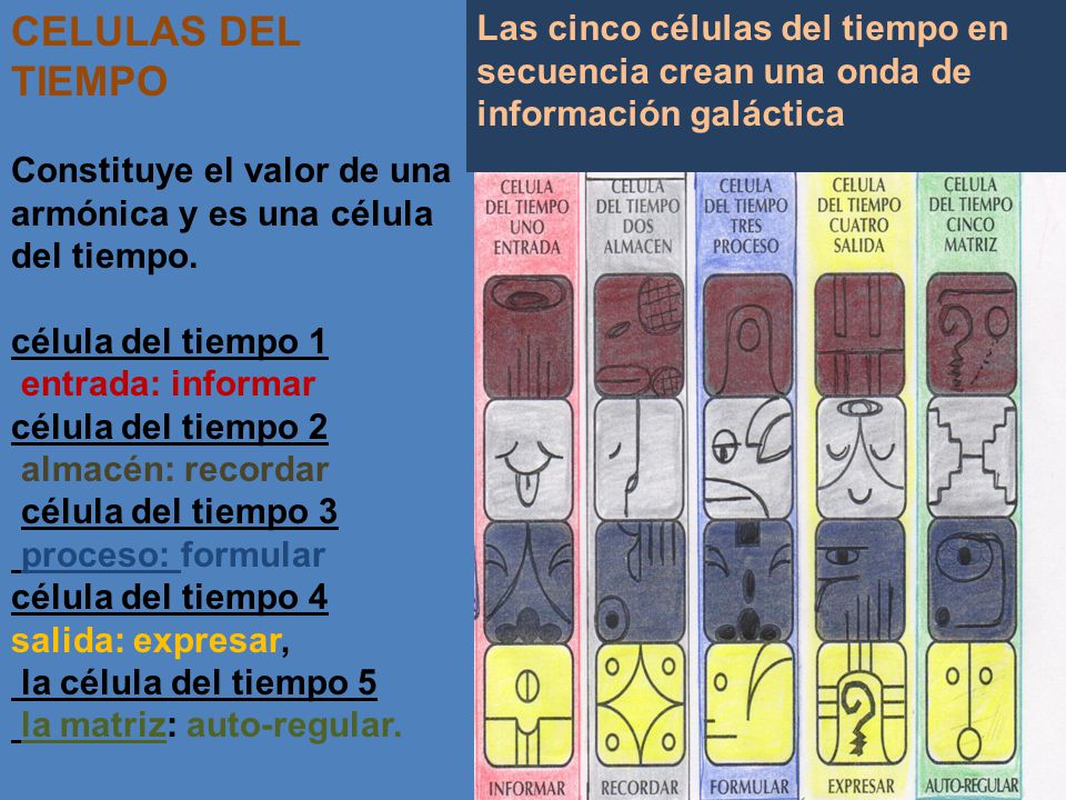 CELULAS DEL TIEMPO Constituye el valor de una armónica y es una célula del tiempo. célula del tiempo 1.