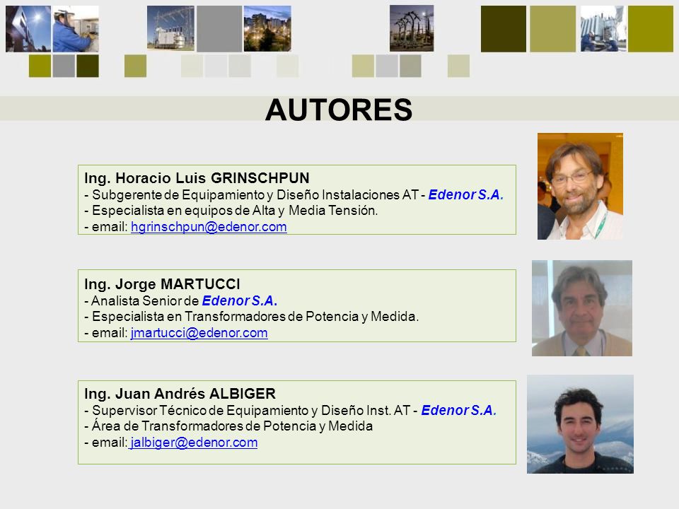 AUTORES Ing. Horacio Luis GRINSCHPUN Ing. Jorge MARTUCCI