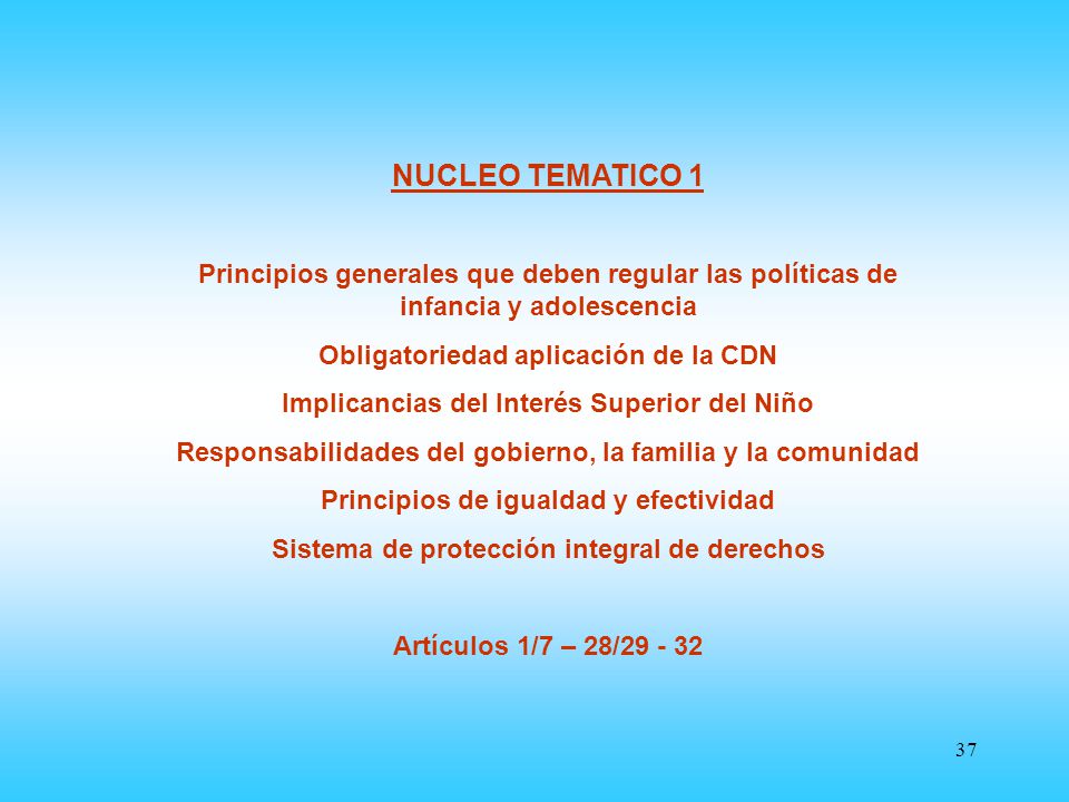 NUCLEO TEMATICO 1 Principios generales que deben regular las políticas de infancia y adolescencia.