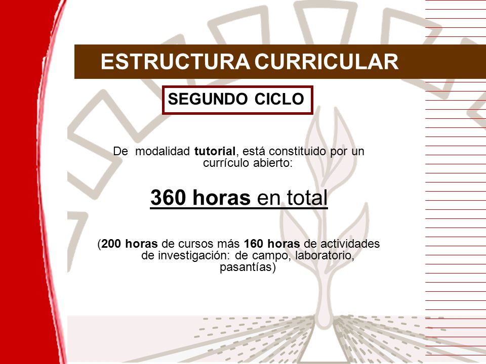 De modalidad tutorial, está constituido por un currículo abierto: