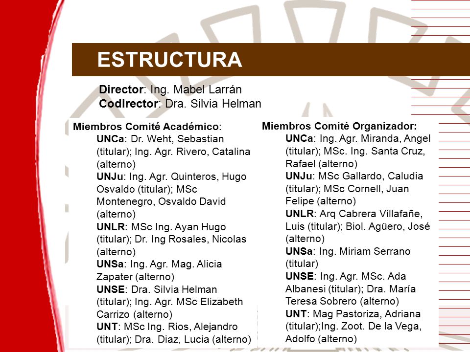 ESTRUCTURA Director: Ing. Mabel Larrán Codirector: Dra. Silvia Helman