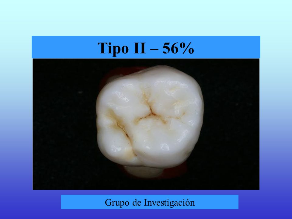Grupo de Investigación
