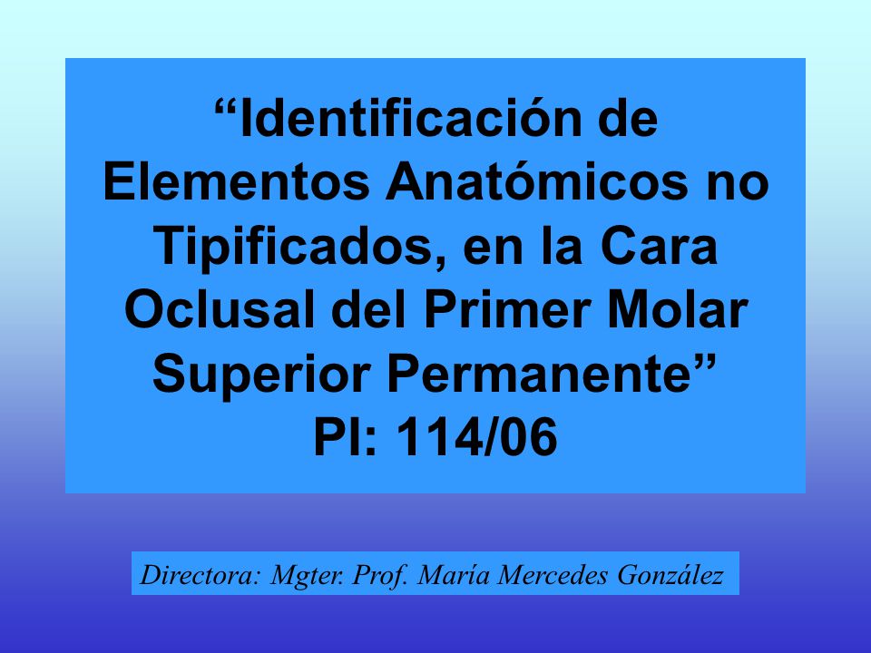 Identificación de Elementos Anatómicos no Tipificados, en la Cara Oclusal del Primer Molar Superior Permanente PI: 114/06
