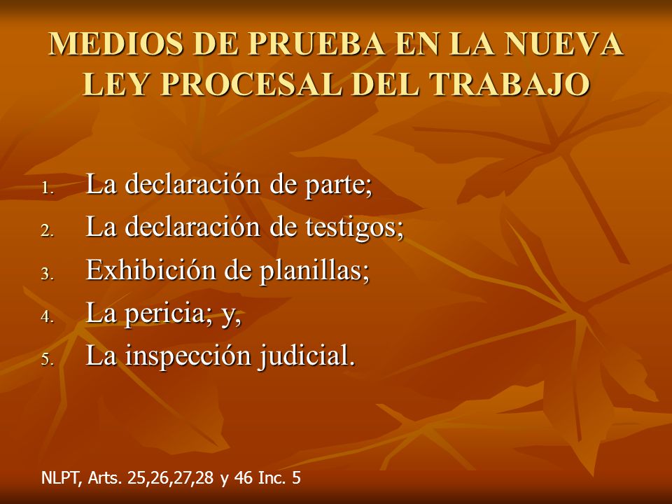MEDIOS DE PRUEBA EN LA NUEVA LEY PROCESAL DEL TRABAJO