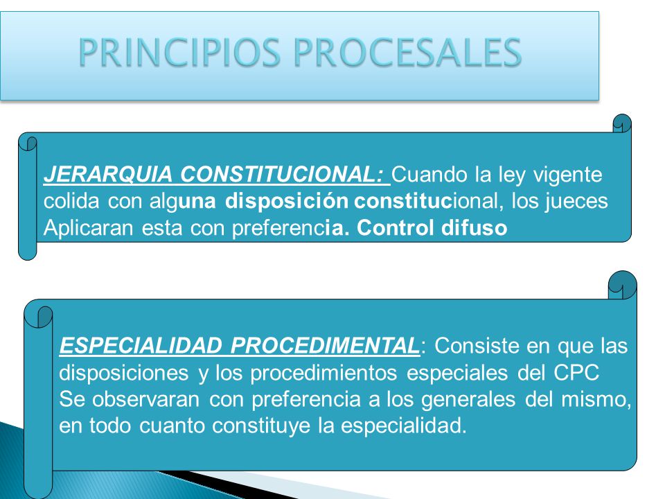 PRINCIPIOS PROCESALES