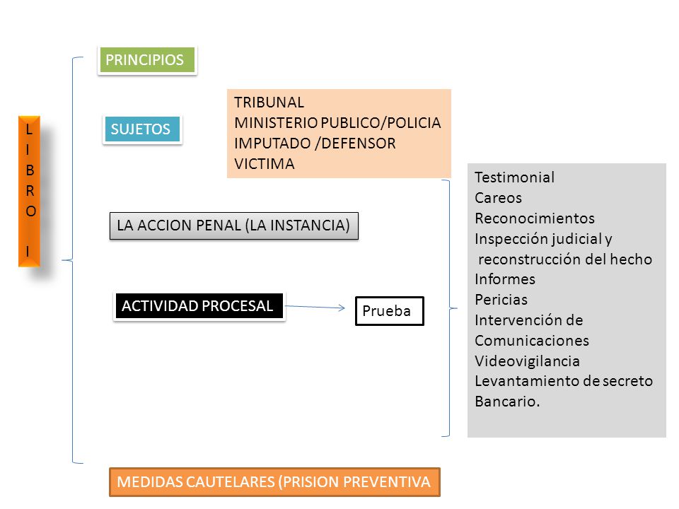 PRINCIPIOS TRIBUNAL. MINISTERIO PUBLICO/POLICIA. IMPUTADO /DEFENSOR. VICTIMA. LIBRO I. SUJETOS.