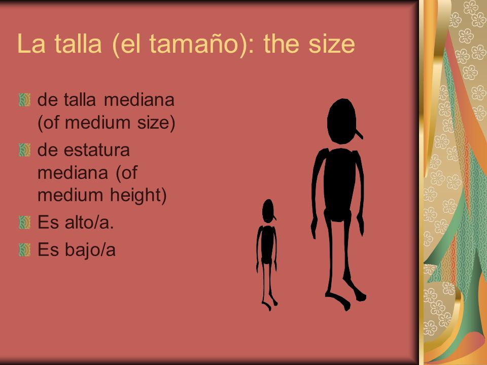 La talla (el tamaño): the size
