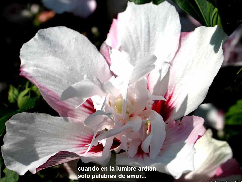 cuando en la lumbre ardían sólo palabras de amor...