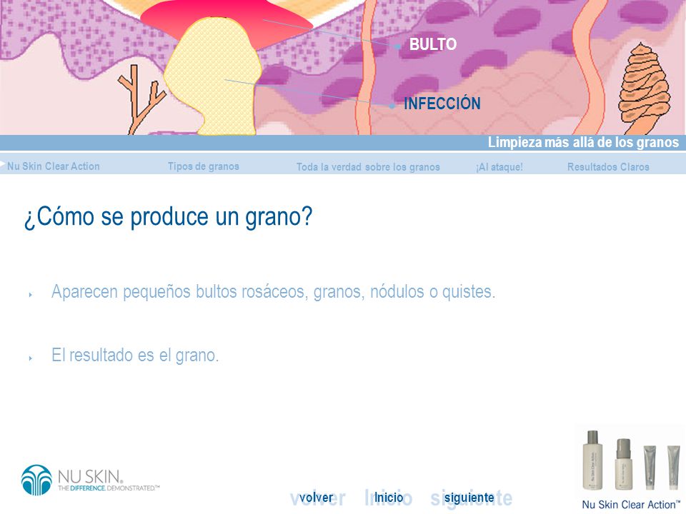¿Cómo se produce un grano