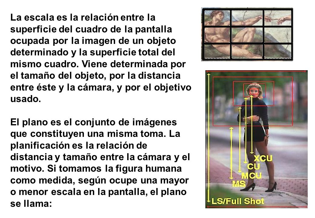 La escala es la relación entre la superficie del cuadro de la pantalla ocupada por la imagen de un objeto determinado y la superficie total del mismo cuadro. Viene determinada por el tamaño del objeto, por la distancia entre éste y la cámara, y por el objetivo usado.