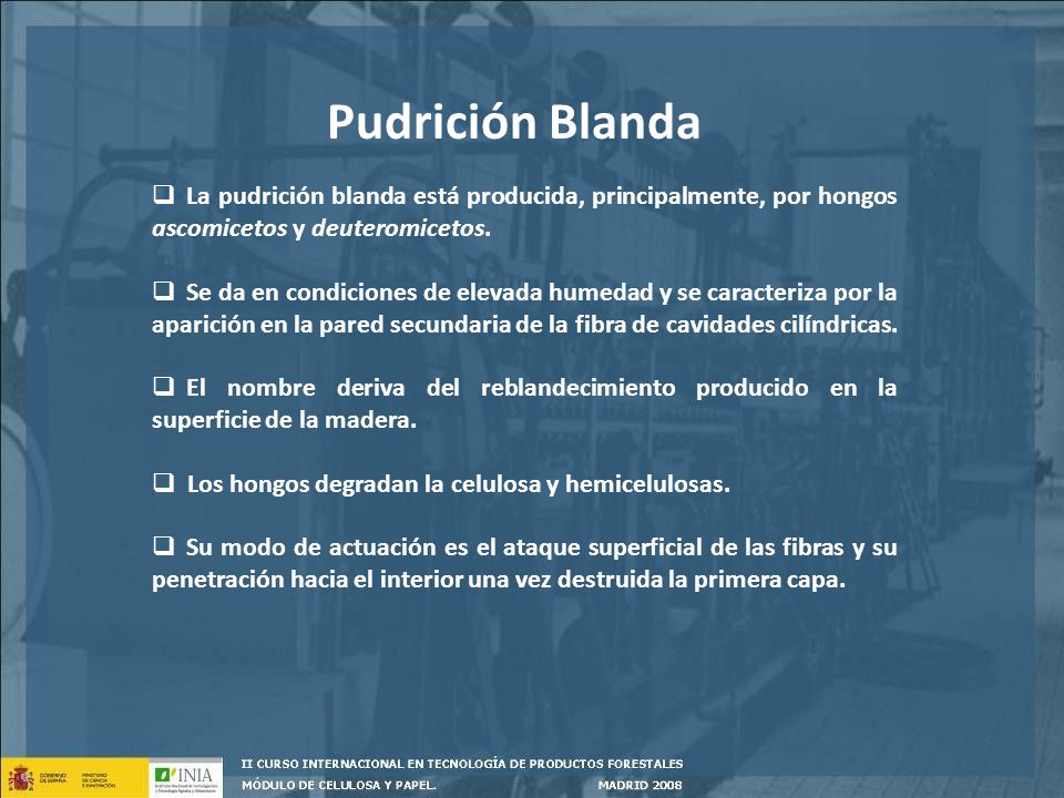Pudrición Blanda La pudrición blanda está producida, principalmente, por hongos ascomicetos y deuteromicetos.