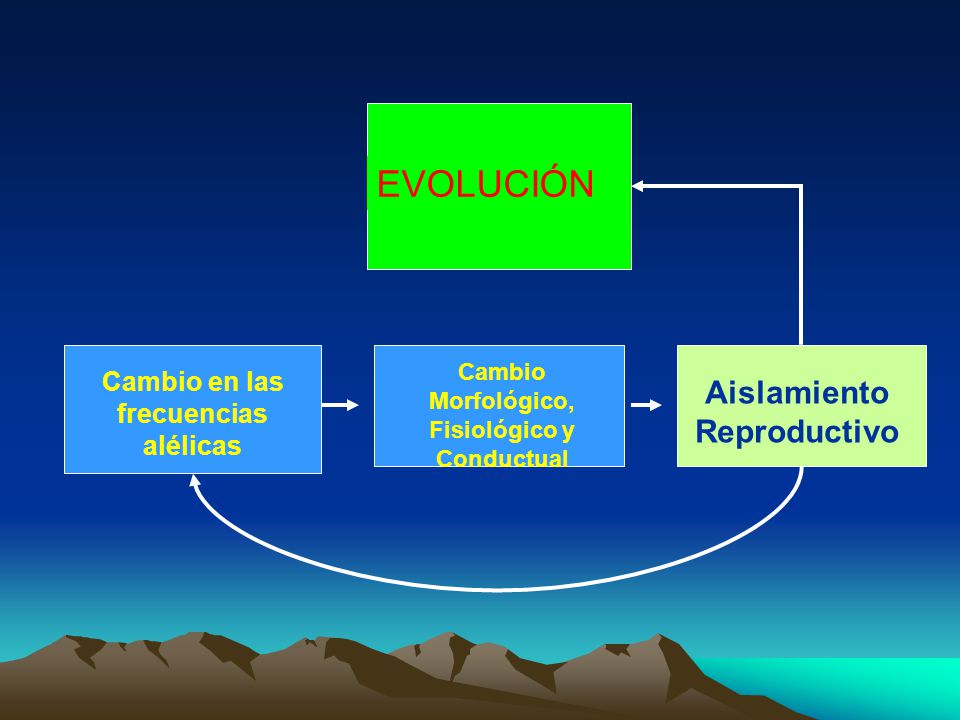 EVOLUCIÓN Aislamiento Reproductivo Cambio en las frecuencias alélicas