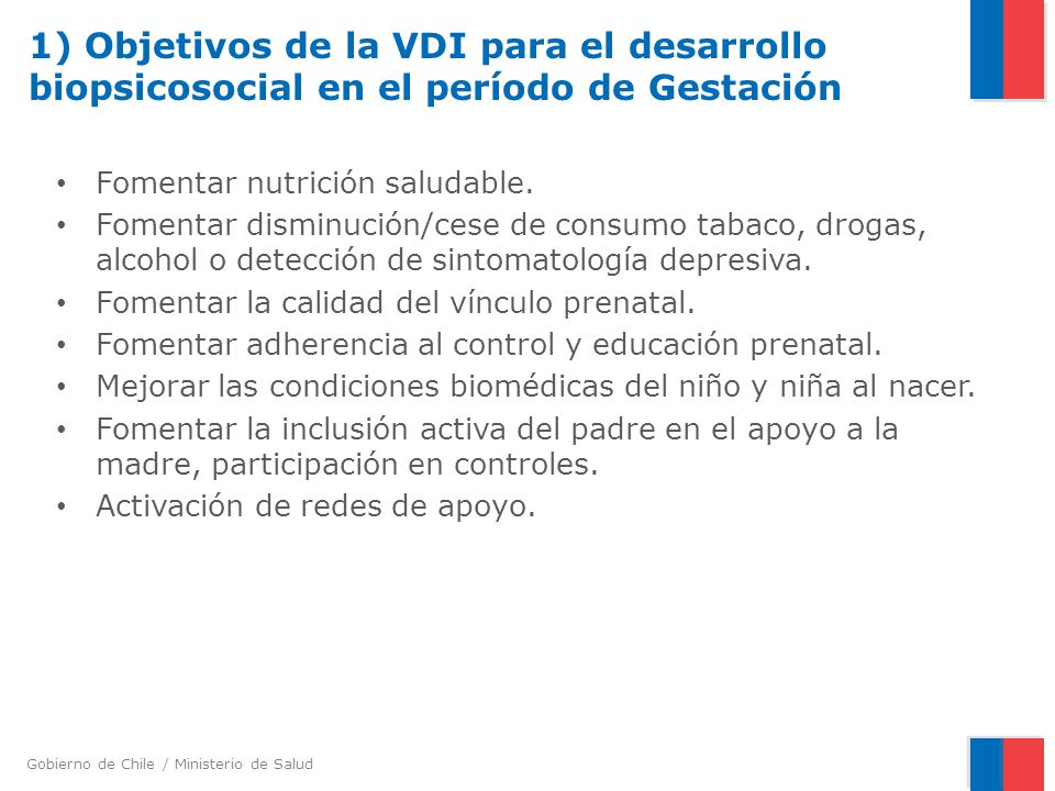 1) Objetivos de la VDI para el desarrollo biopsicosocial en el período de Gestación