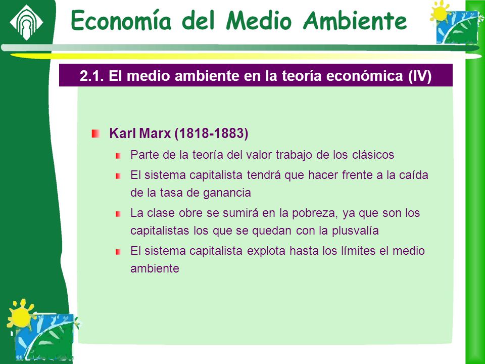 2.1. El medio ambiente en la teoría económica (IV)
