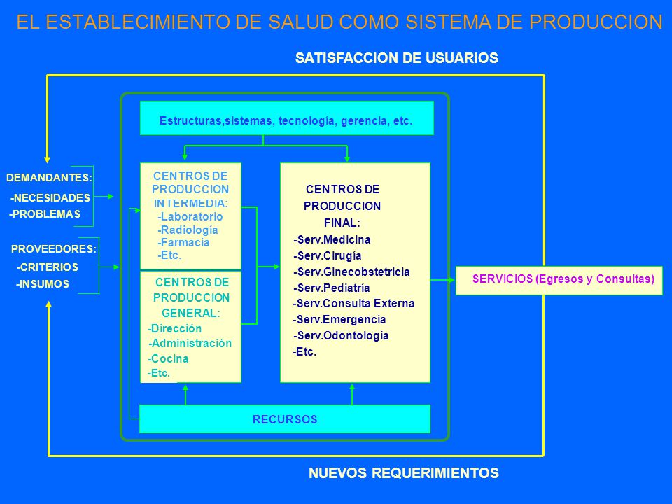 EL ESTABLECIMIENTO DE SALUD COMO SISTEMA DE PRODUCCION