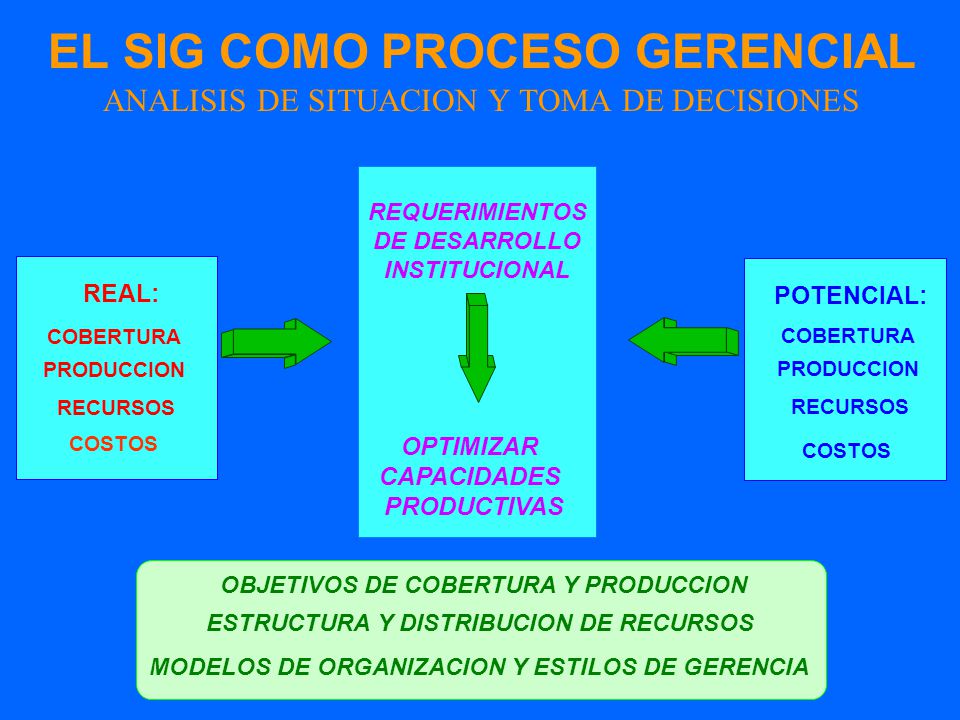 EL SIG COMO PROCESO GERENCIAL ANALISIS DE SITUACION Y TOMA DE DECISIONES