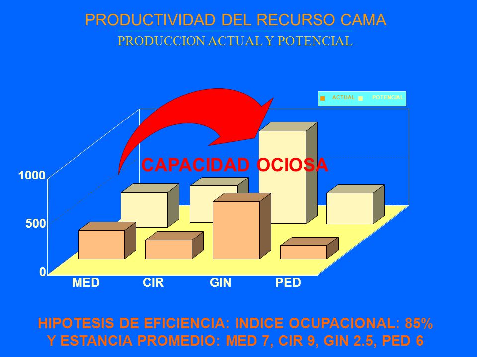 PRODUCTIVIDAD DEL RECURSO CAMA PRODUCCION ACTUAL Y POTENCIAL
