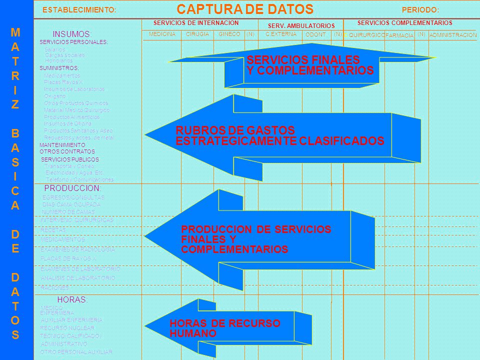 CAPTURA DE DATOS M A T R I Z B A S I C A D E D A T O S