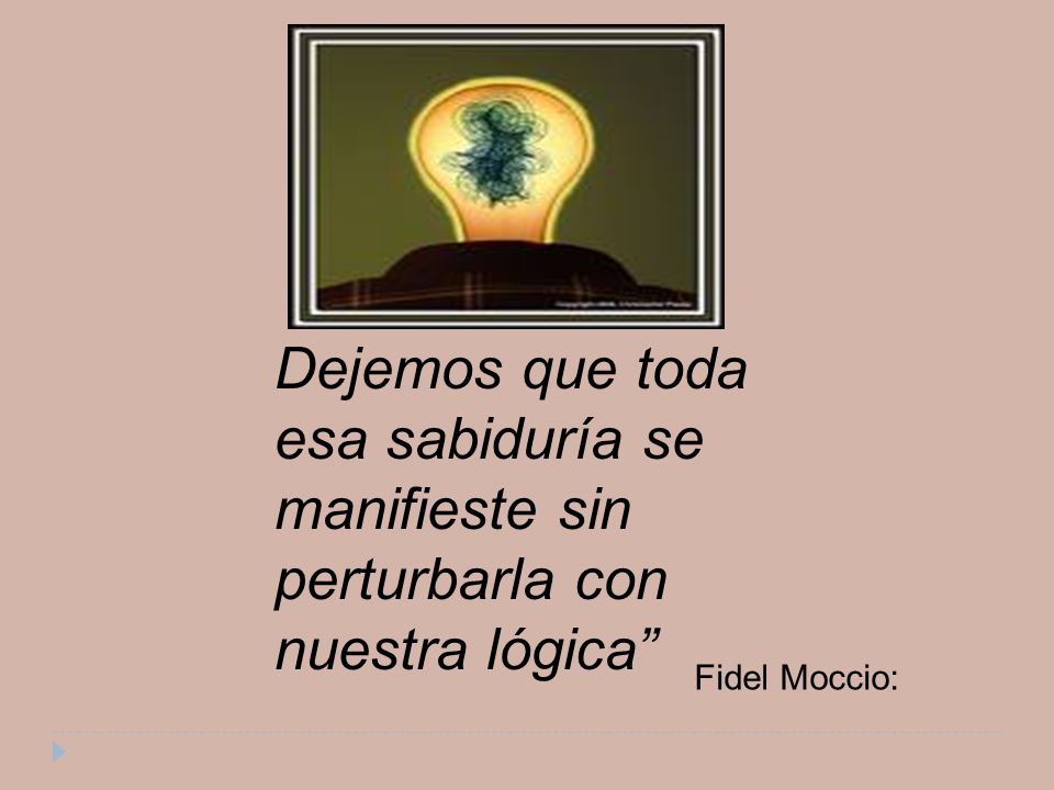 Dejemos que toda esa sabiduría se manifieste sin perturbarla con nuestra lógica Fidel Moccio: