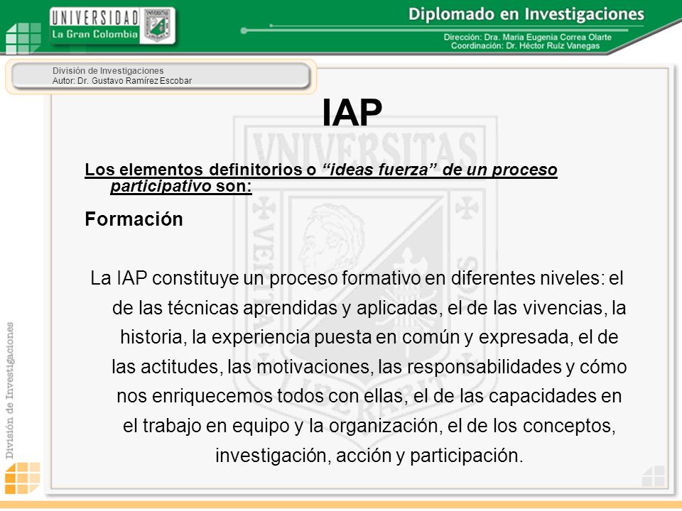 IAP Los elementos definitorios o ideas fuerza de un proceso participativo son: Formación.