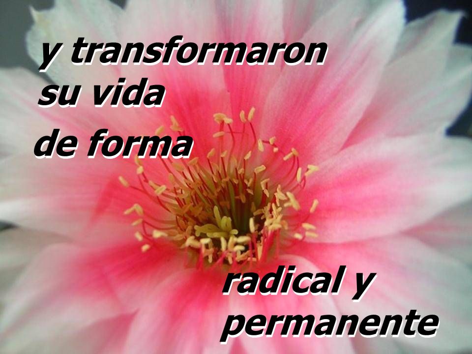 y transformaron su vida de forma radical y permanente