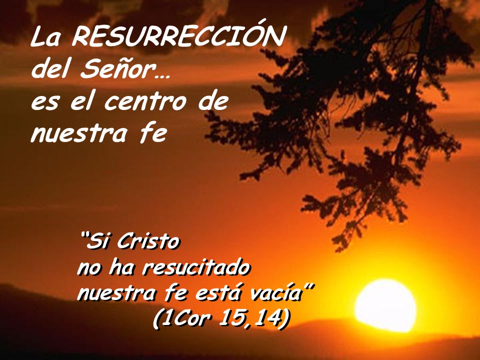 La RESURRECCIÓN del Señor… es el centro de nuestra fe Si Cristo