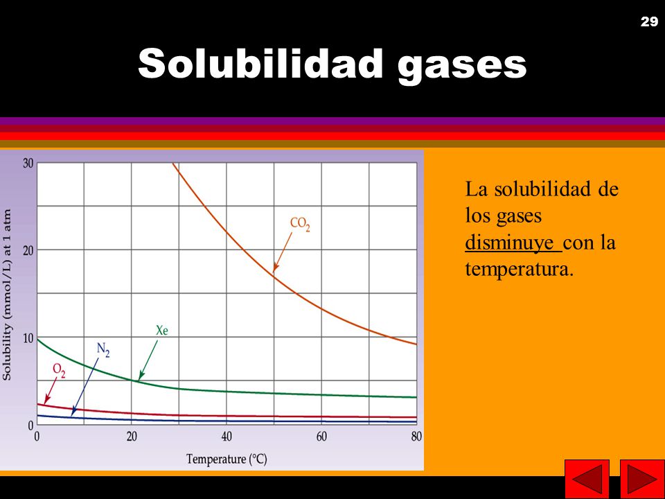 Solubilidad gases La solubilidad de los gases disminuye con la temperatura.