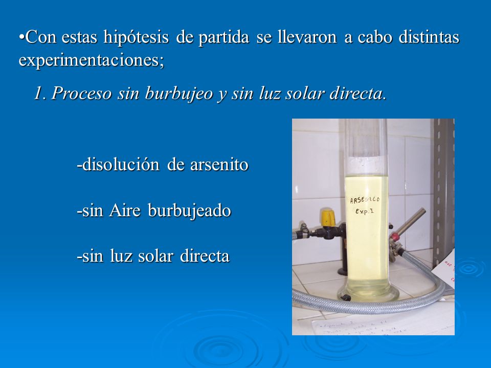 Con estas hipótesis de partida se llevaron a cabo distintas