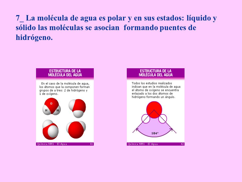 7_ La molécula de agua es polar y en sus estados: líquido y sólido las moléculas se asocian formando puentes de hidrógeno.