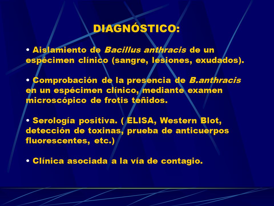 DIAGNÓSTICO: • Aislamiento de Bacillus anthracis de un. espécimen clínico (sangre, lesiones, exudados).