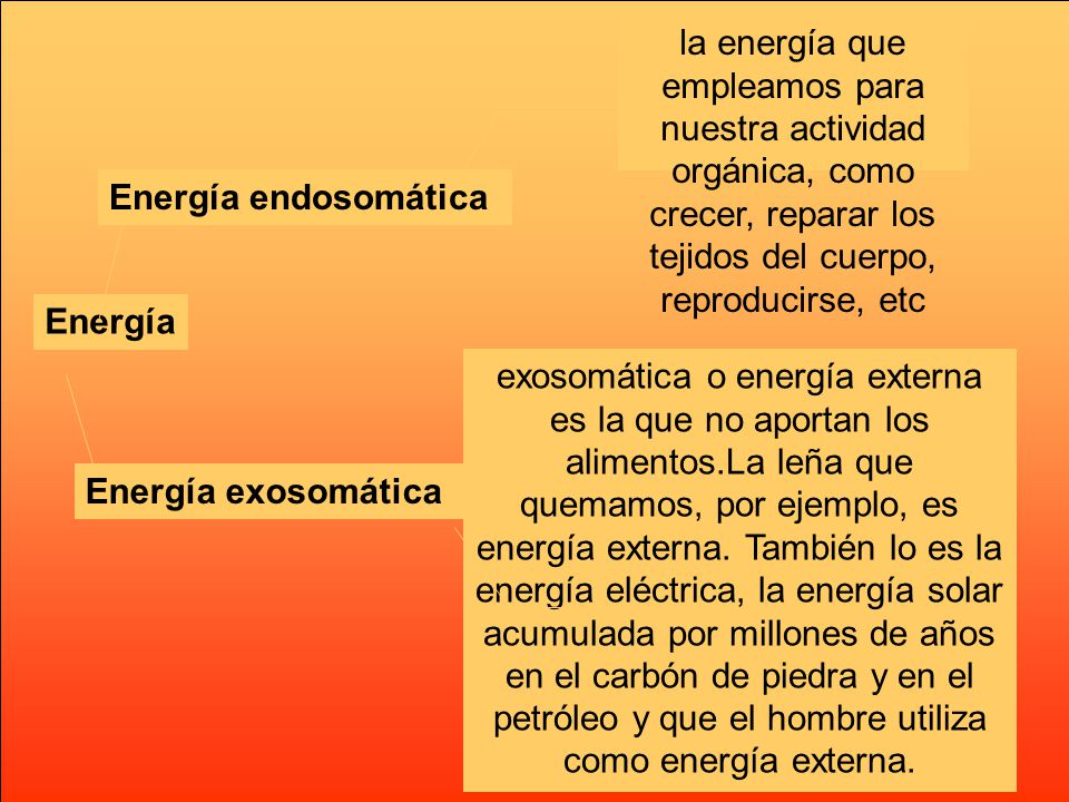 la energía que empleamos para nuestra actividad orgánica, como crecer, reparar los tejidos del cuerpo, reproducirse, etc
