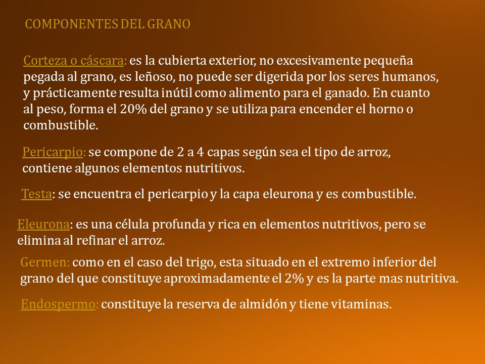 COMPONENTES DEL GRANO Corteza o cáscara: es la cubierta exterior, no excesivamente pequeña.
