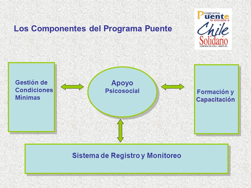 Los Componentes del Programa Puente
