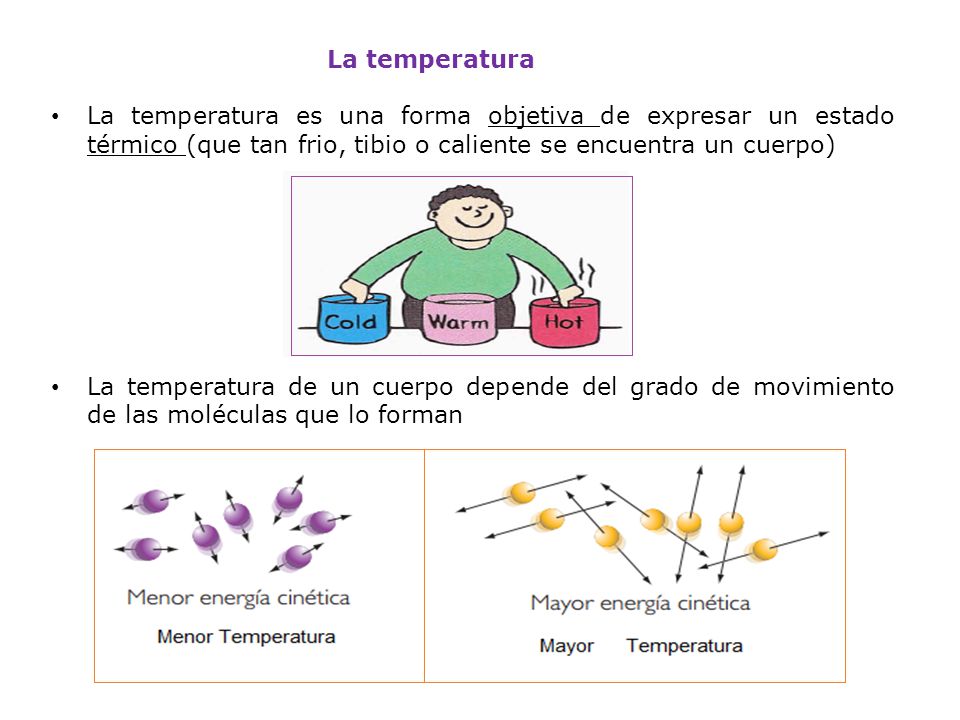 La temperatura La temperatura es una forma objetiva de expresar un estado térmico (que tan frio, tibio o caliente se encuentra un cuerpo)