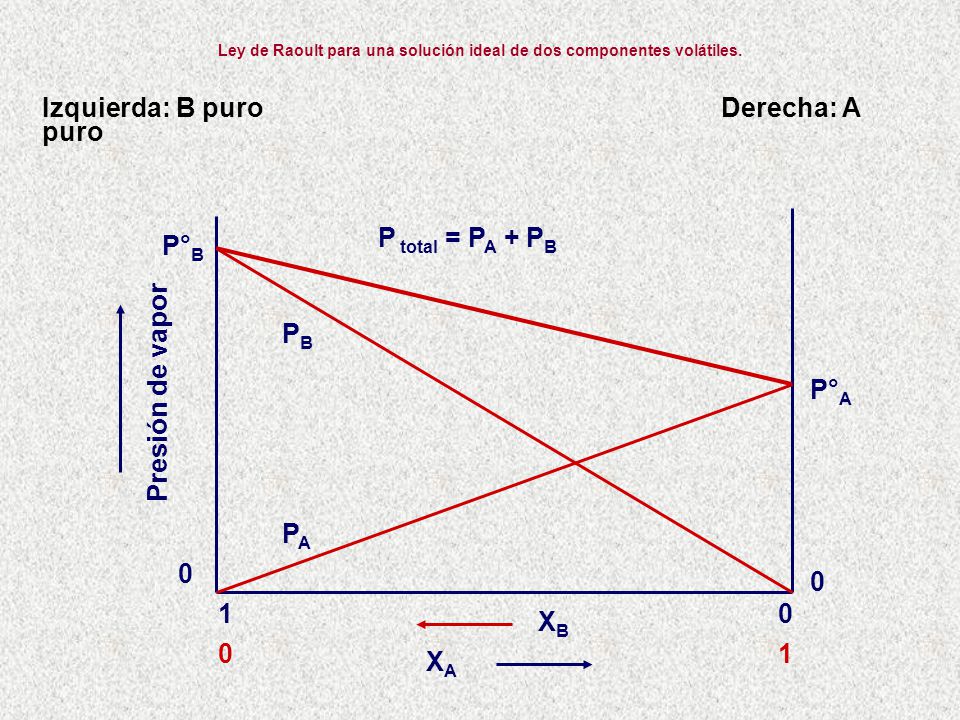 Ley de Raoult para una solución ideal de dos componentes volátiles.