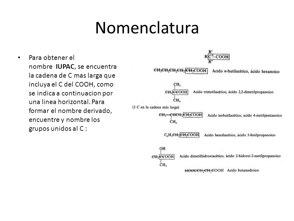 Nomenclatura